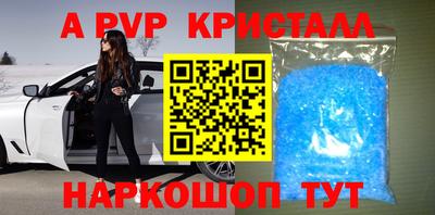 прущие крисы Кингисепп