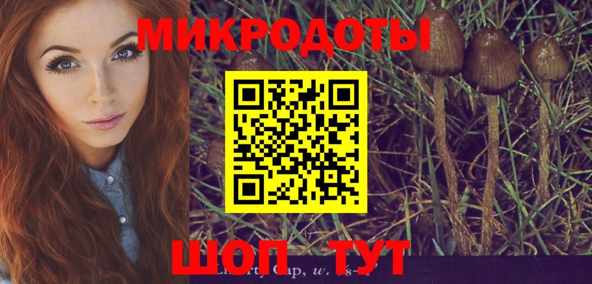Галлюциногенные грибы прущие грибы Крымск
