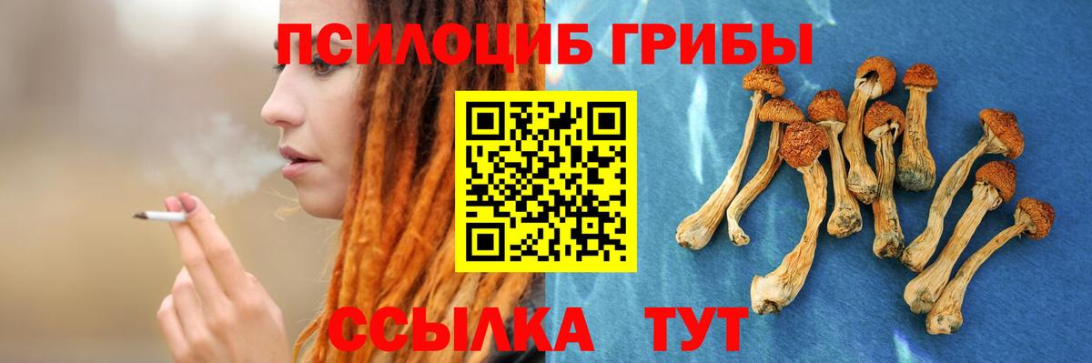 Псилоцибиновые грибы мицелий  Вход с VPN  Крымск 
